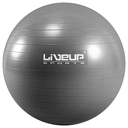 Bola Suíça de Pilates 65cm Cinza