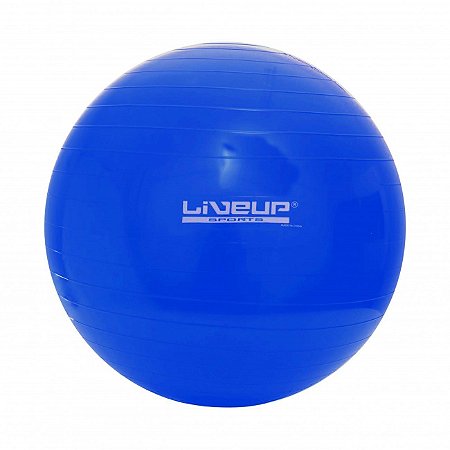 Bola Suíça de Pilates 65cm