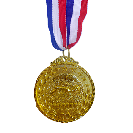 Medalha NATAÇÃO ESTRELA Ouro AX 65mm YWA 470  - EXCLUSIVIDADE