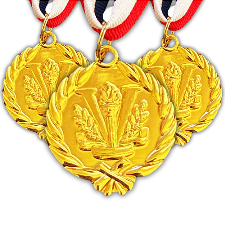 Medalha Honra ao Mérito TOCHA V Ouro  AX 45mm  - YWA 455 - PACK COM 10