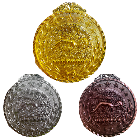Medalha NATAÇÃO ESTRELA Ouro/prata/Bronze AX 65mm YWA 470  - PACK COM 3 (1 de Cada)