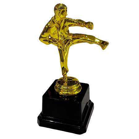Troféu de Karatê Chute 1º Lugar 17cm Base Quadrada AX - Y252