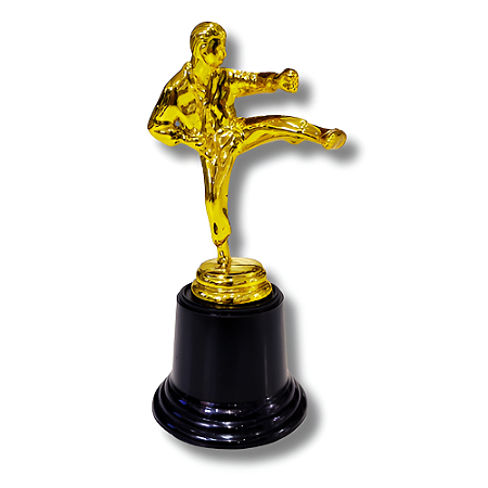 Troféu de Karatê 16,5cm Base Redonda AX - Y252