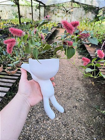 Cachepot Robert Escalando Branco