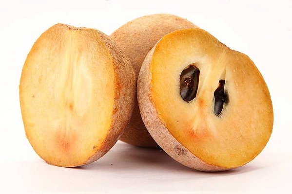 Sapoti - Manilkara zapota