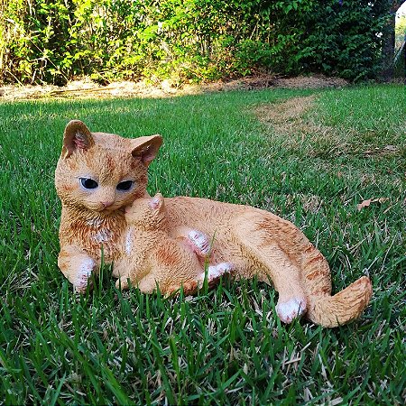 Gato em Resina