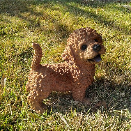 Poodle Marron em Resina (Cachorro)