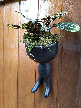 Cachepot Robert Escalando Preto