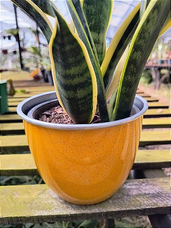 Vaso de Inox Boca 15 - AMARELO