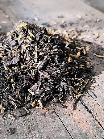 Solo Especial para Plantas Ornamentais