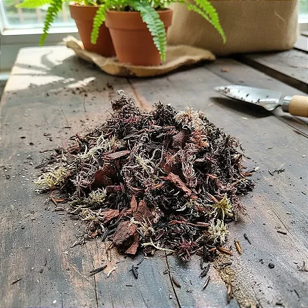 Substrato Especial para Platycerium Antúrio Samambaia