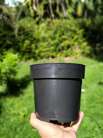 Vaso Preto Redondo Pote 16
