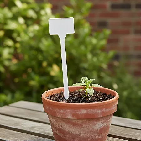 Placa de Identificação Grande