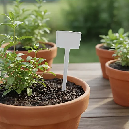 Placa de Identificação Pequena