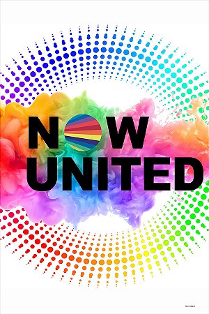 Painel Festa Retangular P/ Casado 1,5x2,2m Now United 1