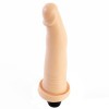 Pênis Curvado 17,5x3,5cm com Vibro Interno Multivelocidade – Absoloo