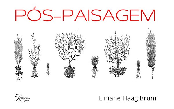 Pós-paisagem - Liniane Haag Brum