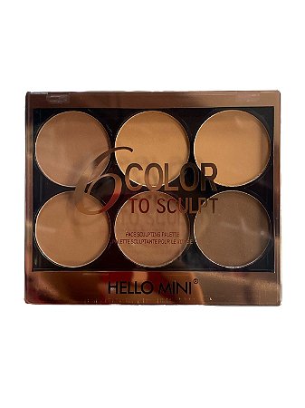 PALETA DE CONTORNO 6 CORES COLOR