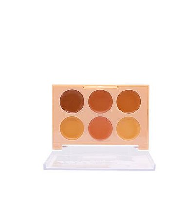 PALETA DE CORRETIVO THE COVER COR 01 - PINK 21