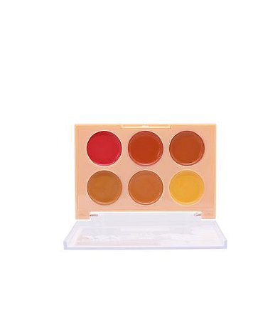 PALETA DE CORRETIVO THE COVER COR 03 - PINK 21