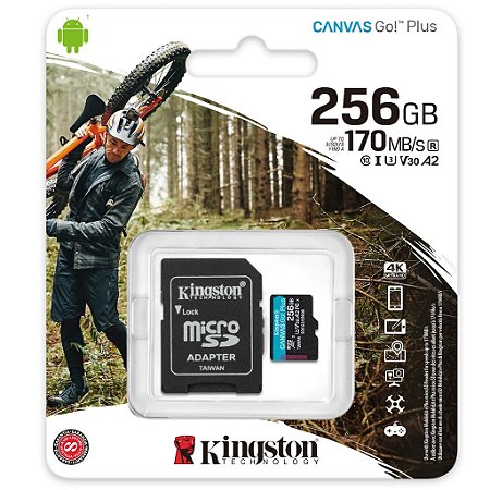 Cartão de Memória Kingston Micro SD 256Gb 170MBs