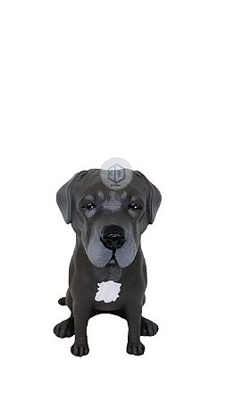 Estatueta Dogo Alemão pet