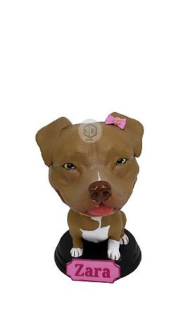 Dog mola Pit Bull Fêmea orelhas dobradas