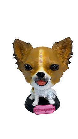 Dog mola Chihuahua pelos longos