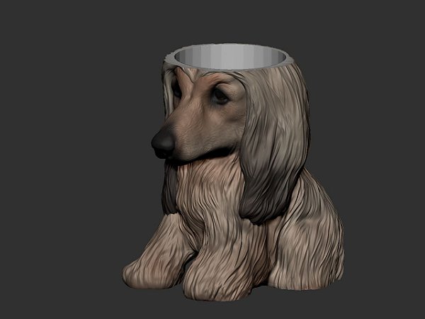 Vaso Galgo Afegão suculentas