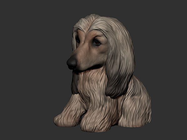 Estatueta Galgo Afegão