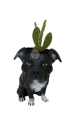 Vaso Pit Bull Orelhas Dobradas Boca Fechada