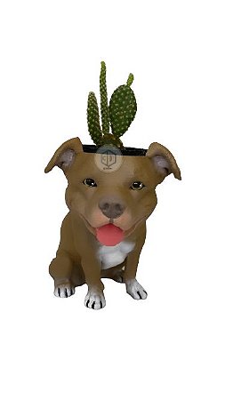 Vaso Pit Bull Orelhas Dobradas Boca Aberta