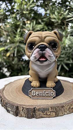 Pet Personalizado + nome