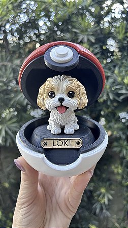 Pokebola Pet