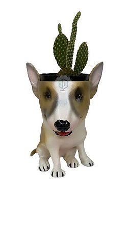 Vaso Bull Terrier suculentas