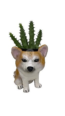 Vaso Akita suculentas