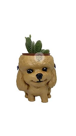 Vaso Poodle Fêmea suculentas