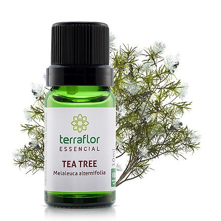 Óleo essencial de Tea Tree | Melaleuca -  Terraflor 10ml