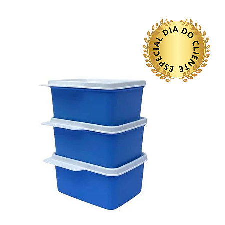 Tupperware Kit Basic Line 500ml Azul