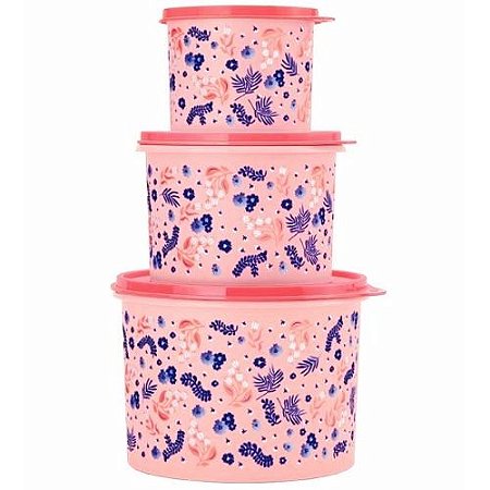 Tupperware Kit Tupper Caixa Jardim das Maes 3 Pecas