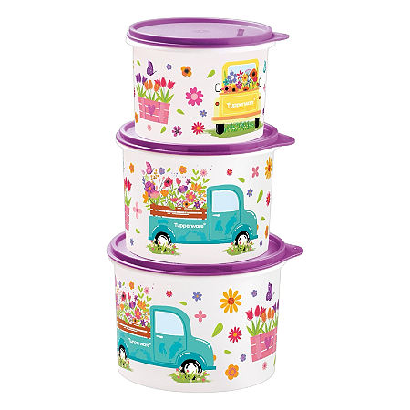 Tupperware Kit Tupper Caixas Caminho das Flores 3 peças