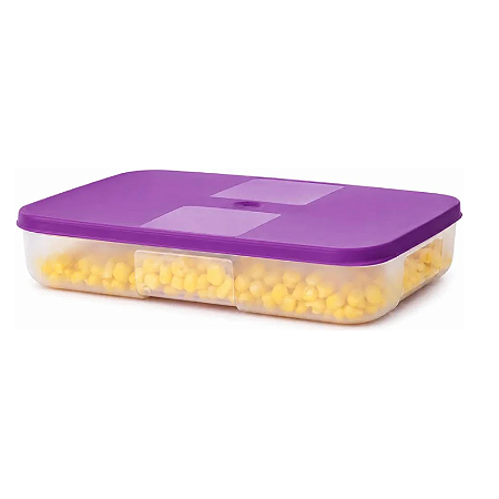 Tupperware Freezer Mate 500ml