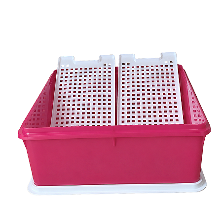 Tupperware Super Caixa 10 Litros Magenta