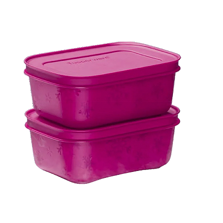 Tupperware Kit Freezer Line 450ml 2 Peças