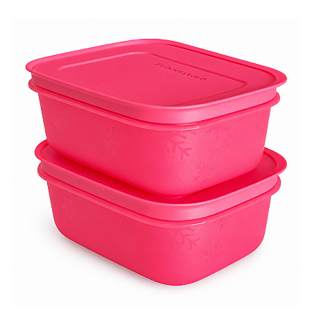 Tupperware Kit Freezer Line 450ml 2 Peças Lychee