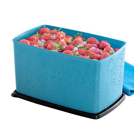 Tupperware Espaçosa 3 Litros Azul