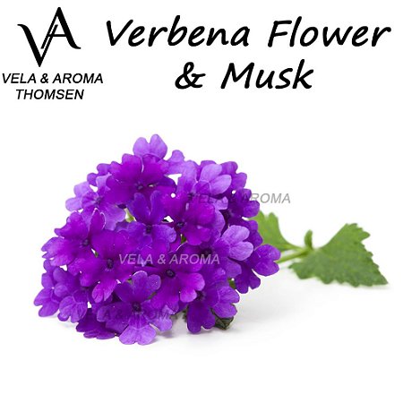 ESSÊNCIA VERBENA FLOWER MUSK VA CANDLE