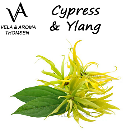 ESSÊNCIA CYPRESS AND YLANG VA CANDLE