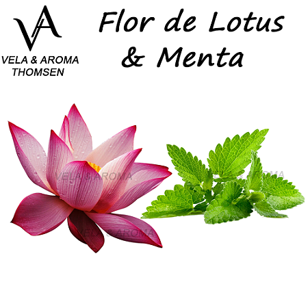 ESSÊNCIA FLOR DE LOTUS E MENTA VA CANDLE