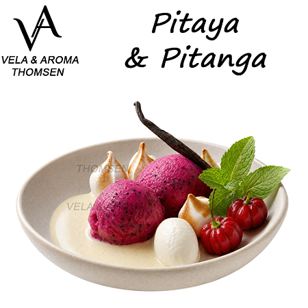 ESSÊNCIA PITAYA & PITANGA VA CANDLE